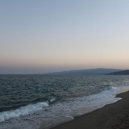 Park Hotel Le Dune Di Giovino 卡坦扎罗 外观 照片