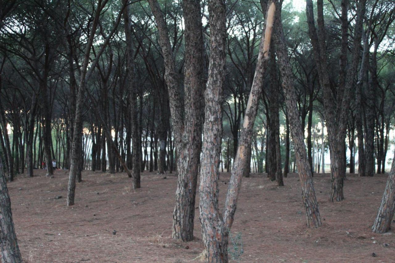 Park Hotel Le Dune Di Giovino 卡坦扎罗 外观 照片