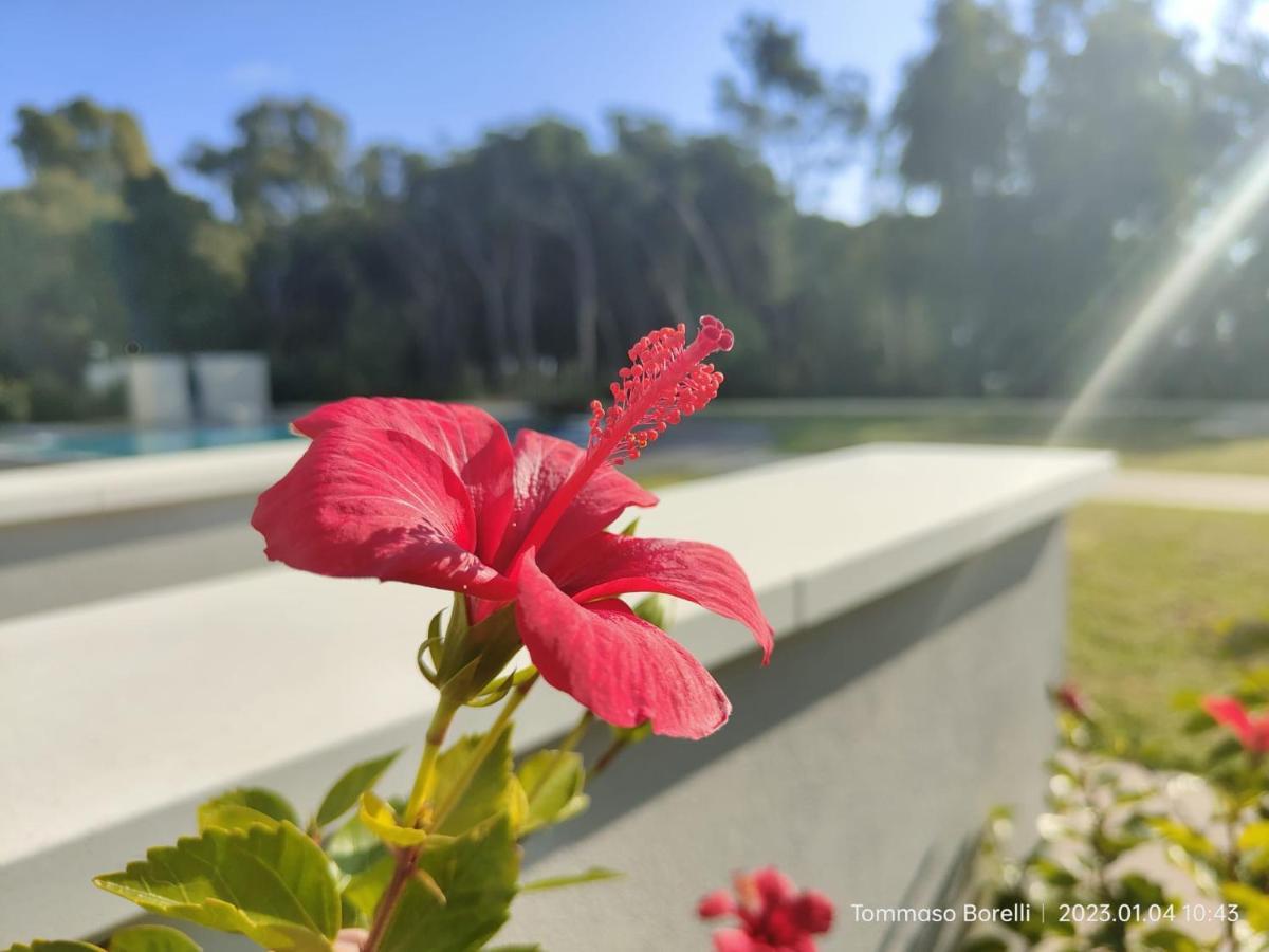 Park Hotel Le Dune Di Giovino 卡坦扎罗 外观 照片